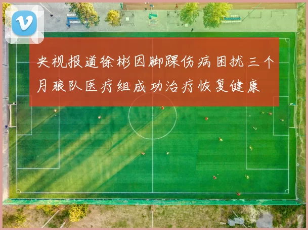 央视报道徐彬因脚踝伤病困扰三个月狼队医疗组成功治疗恢复健康
