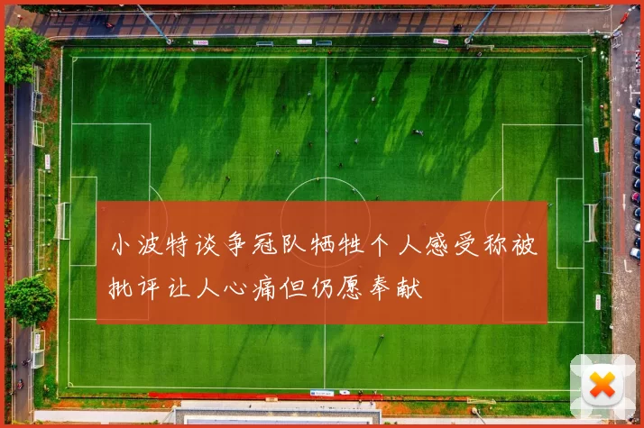 小波特谈争冠队牺牲个人感受称被批评让人心痛但仍愿奉献